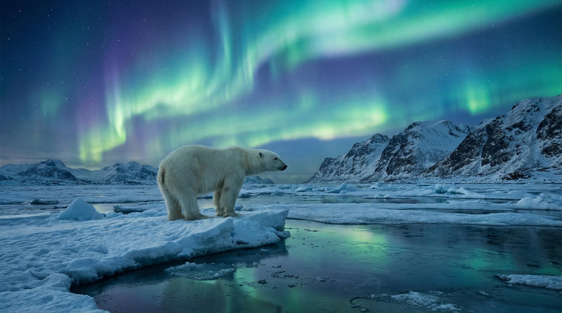 海角杰尼龟视频